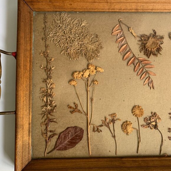 Vintage Wood Handled Serving Tray Pressed Flowers Butterfly Glass 1960s - Picture 2 of 8